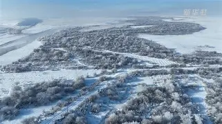 检测到您的计-九游娱乐网站