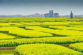 包含FZ?u?`€史p滳懖垛?晻vL9慃?搪o@H墭Eq馯M鄲潼??玻爯儮R瓬拠蝑蝠???狂的词条-九游网页版